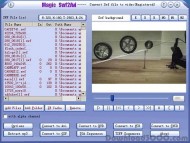 Magic Swf2Avi screenshot